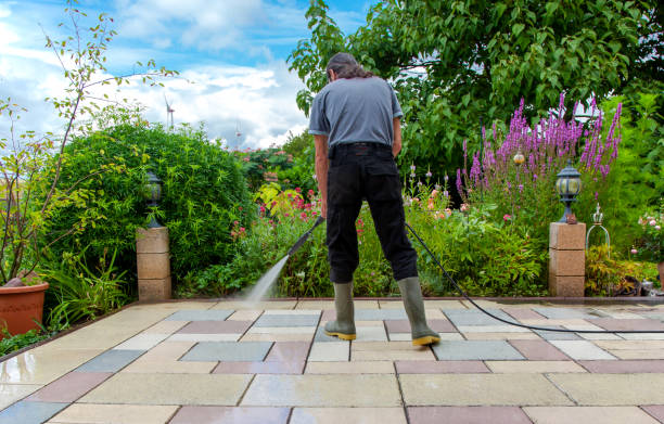 Best Animal Enclosure Cleaning  in Lehi, UT