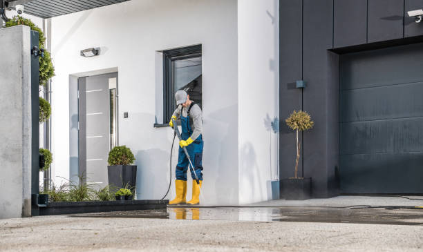 Best Soft Washing  in Lehi, UT